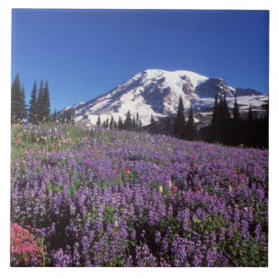 Sommerwildblumen am Fuße des Mount Rainier, Fliese