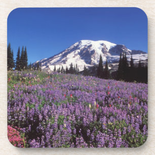 Sommerwildblumen am Fuße des Mount Rainier, Getränkeuntersetzer