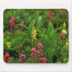 Sommerwildblumen entfalten ein Farbenmeer Mousepad