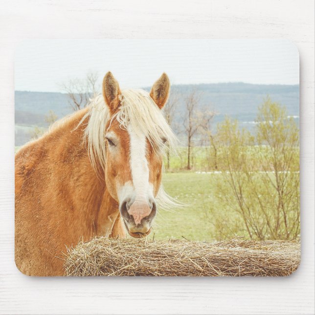 Sommerwind Palomino Farm Pferd  Mousepad (Vorne)