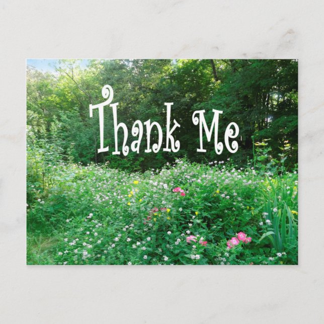 Sommerzeit DANK ME Postkarte 2015 (Vorderseite)