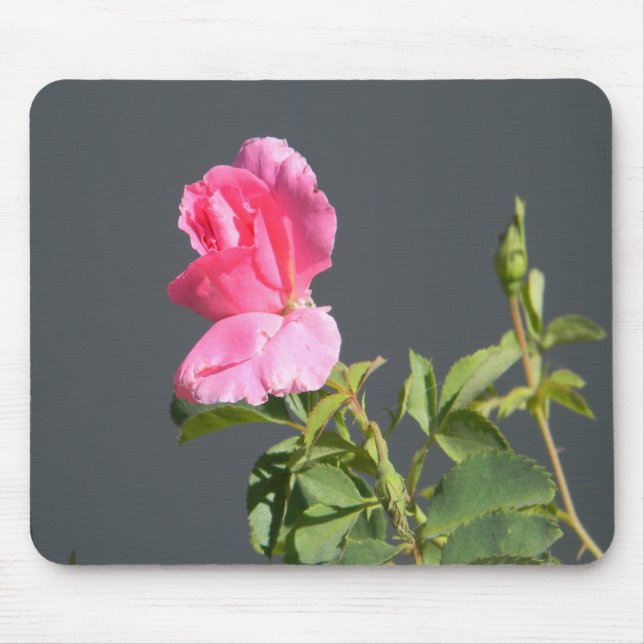Sommerzeit Liebe... Mousepad (Vorne)