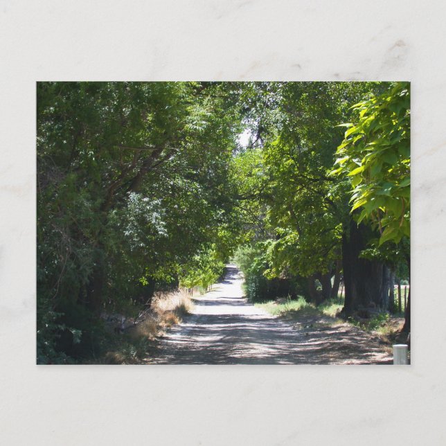 Sommerzeit Postkarte (Vorderseite)