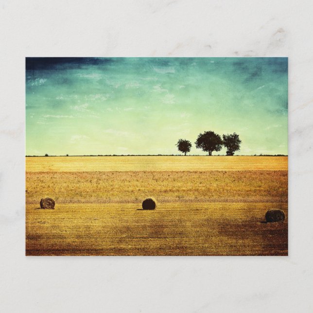 Sommerzeit Postkarte (Vorderseite)