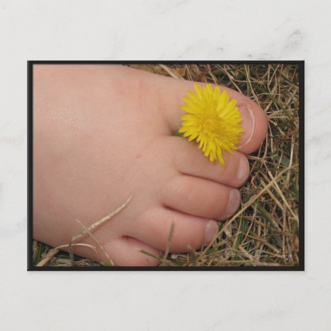 Sommerzeit Postkarte (Vorderseite)