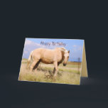 Son Happy Birthday Palomino Pferdekarte Karte<br><div class="desc">Ein schönes Palominopferd steht in einer windgepeitschten Weide. Eine andere Ansicht des Pferdes ist auf der Rückseite der Karte.</div>