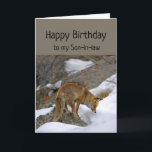 Son-in-Schwiegereltern Wonderful Birthday Fox  Karte<br><div class="desc">Spaß Son-in-Schwiegertag Sie verdienen Wonderful Birthday Fox schauen aufmerksam auf etwas.  Eine tolle Karte für jemanden,  der Tiere und Füchse Liebe.</div>