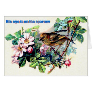 Son oeil est sur le moineau