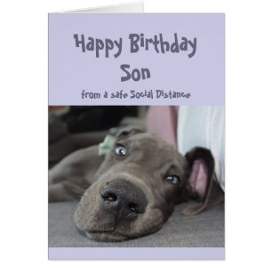 Son Social Distance Birthday Great Dane Dog