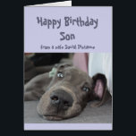 Son Social Diststanz Geburtstag Großer Dane Hund<br><div class="desc">Funny Social Distancing Geburtstagskarte für Ihren Sohn mit einer niedlichen Ruhepause, um sich herum zu legen, nichts tun Great Dane Hund. Inside verse Verse: Das Partys sollte in diesem Jahr nicht übertrieben werden. Eine tolle Karte für jene Person, die einen Sinn für Spaß hat, oder für einen, der große Dänen,...</div>