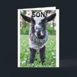 *SON* STOPPING AM BIRTHTAG, UM GLÜCKLICH ZU SAGEN KARTE<br><div class="desc">DANK,  DASS SIE VON EINER MEINER ACHT STORES GESCHLOSSEN SIND. GLÜCKLICH BIRTHTAG ZU "IHR SON" ODER AUCH ZU IHREM "SON-IN-LAW"</div>
