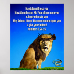 Sonderausgabe Priestersegnung Poster