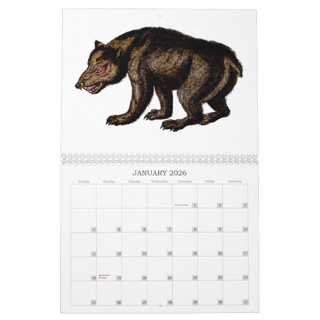 Sonderbarer Tierkalender - 2013 Kalender (Jan 2026)