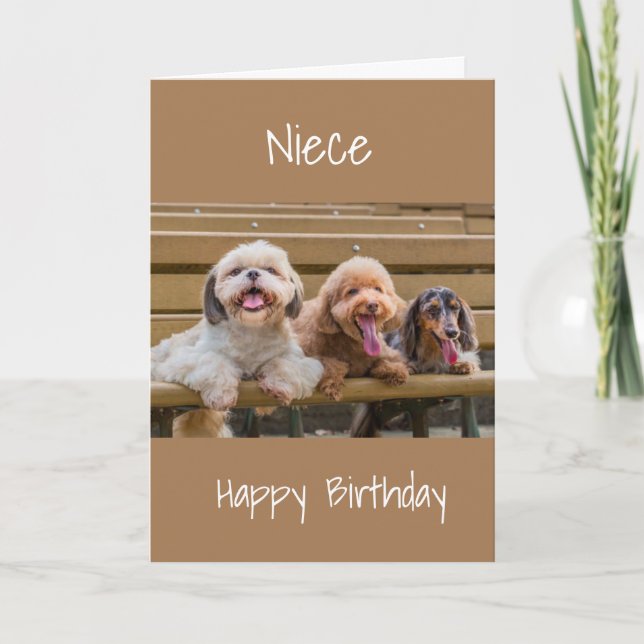 SONDERKARTE *NIECE* GEBURTSTAG KARTE (Vorderseite)