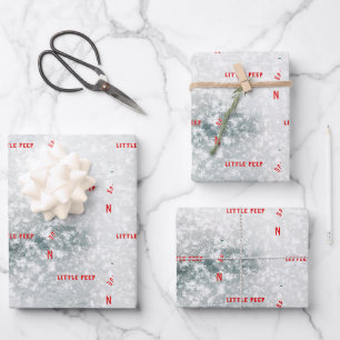 Sonderlieferung aus der Nordpol-Snowy Icy Geschenkpapier Set