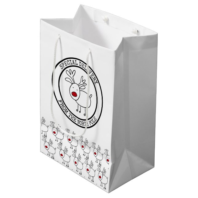 Sonderlieferung aus Nordpol Kinder Weihnachten Mittlere Geschenktüte (Vorderseite Schrägansicht)