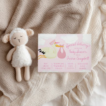 Sonderlieferung! Pink Stork Baby Dusche