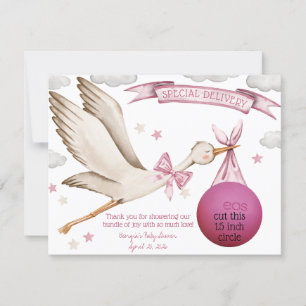 Sonderlieferung! Pink Stork EOS Lip Balm Bevorzugu Einladung