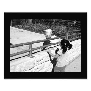 Sondertagung Fotodruck