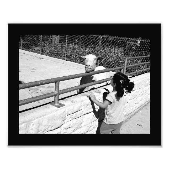 Sondertagung Fotodruck (Vorne)