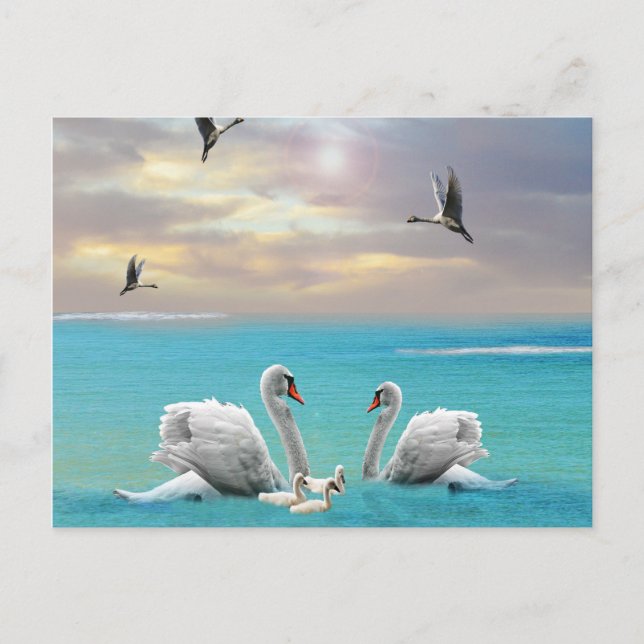 Song Of The White Swan Postkarte (Vorderseite)