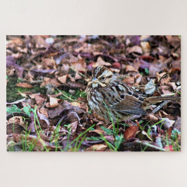 Song Sparrow (Horizontal)
