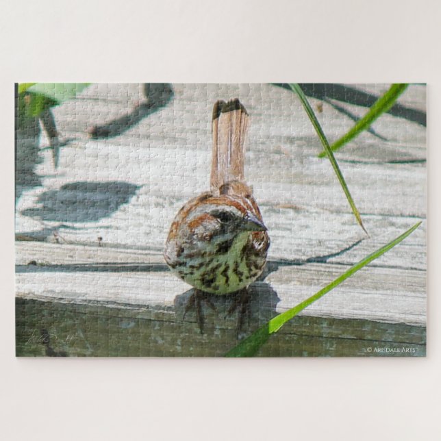 Song Sparrow (Horizontal)