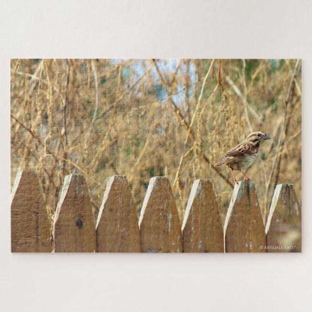 Song Sparrow auf Zaun (Horizontal)