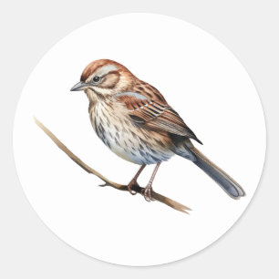Song Sparrow Bird Stickers