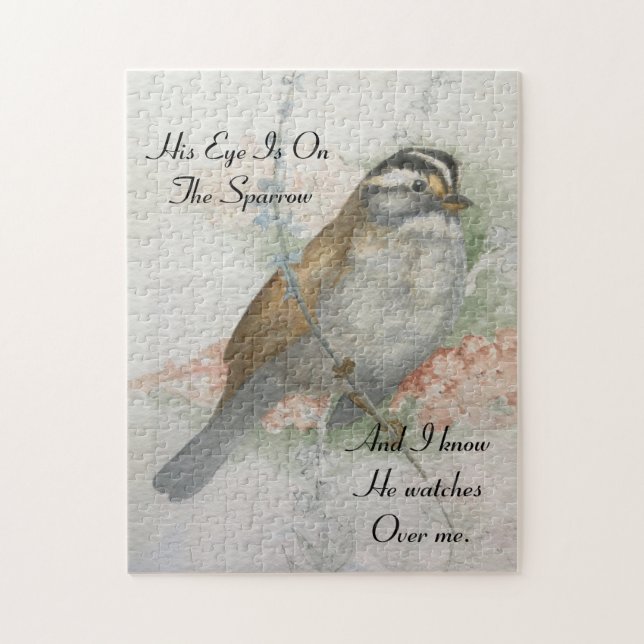 Song Sparrow, den er mir über mein Bibelangebot sc (Vertikal)