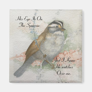 Song Sparrow er sieht mir Bibelangebot zu Magnet