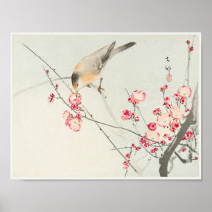 Songbird auf der Zweigstelle Blossom von Ohara Kos Poster