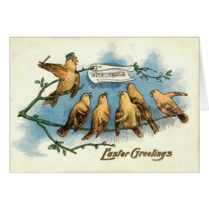 Songbird Choir Sky Singing Song Tree