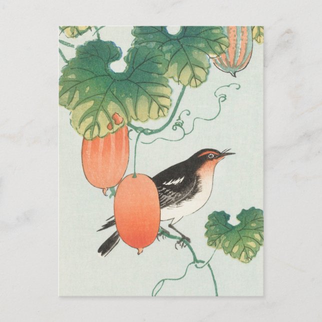 Songbird in Cucumber Pflanze Gemälde von Ohara Kos Postkarte (Vorderseite)
