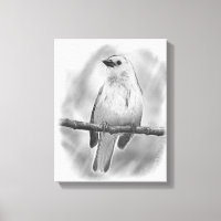 Songbird
