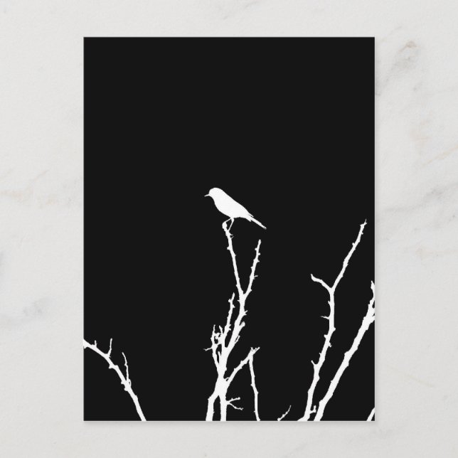 Songbird Night Postkarte (Vorderseite)