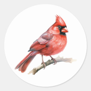 Songbird-Stickers im nördlichen Kardinal Runder Aufkleber