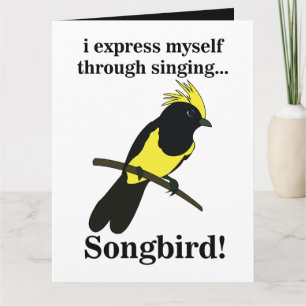 Songbird Tit Bird Funny Vogelbeobachtung Birdwatch Karte