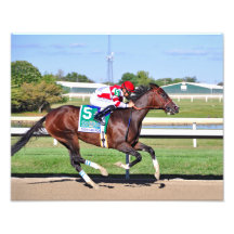 Songbird und Smith