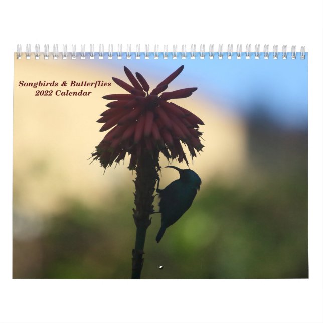 Songbirds & Butterflies Calendrier 2022 (Protection)