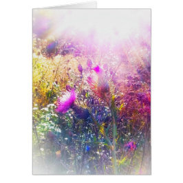 SONNE AUF DISTEL-KLEINER GRUSS-KARTE