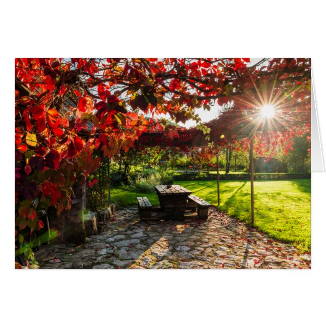 Sonne durch Herbstblätter, Kroatien (Vorderseite (Horizontal))