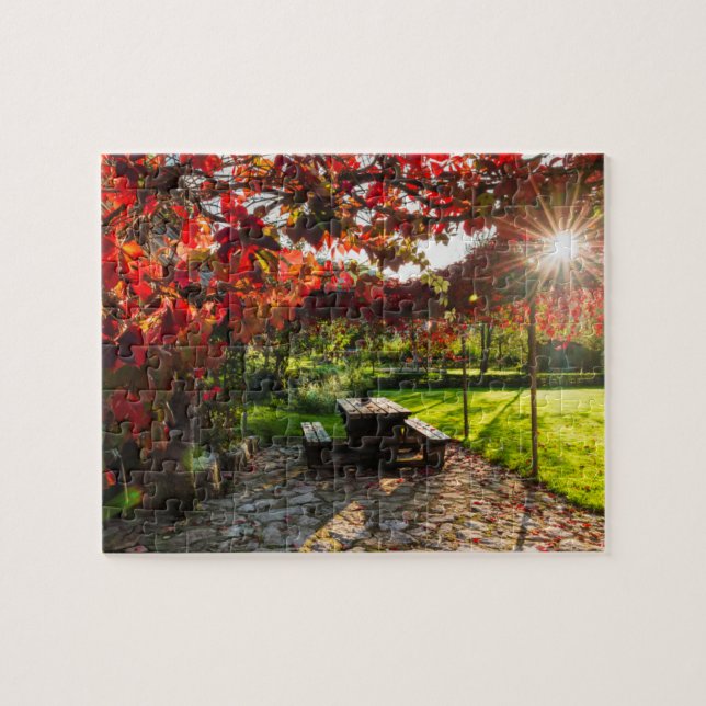 Sonne durch Herbstblätter, Kroatien (Horizontal)