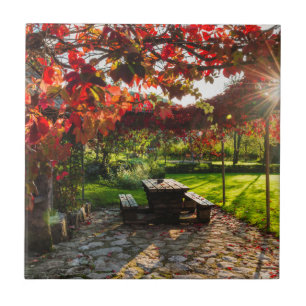 Sonne durch Herbstblätter, Kroatien Fliese