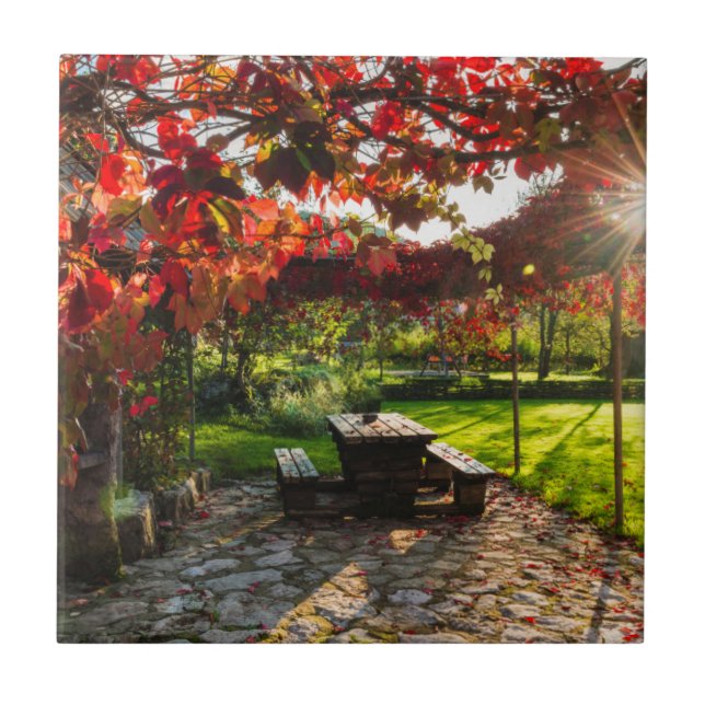 Sonne durch Herbstblätter, Kroatien Fliese (Vorderseite)