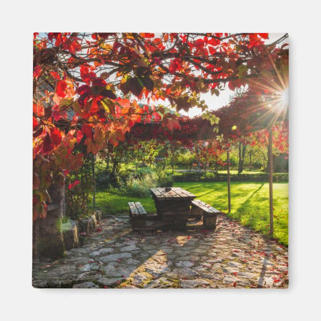 Sonne durch Herbstblätter, Kroatien Magnet (Vorne)