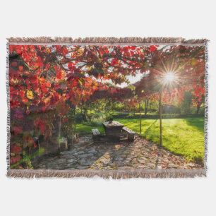 Sonne durch Herbstlaub, Kroatien Decke