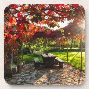 Sonne durch Herbstlaub, Kroatien Getränkeuntersetzer