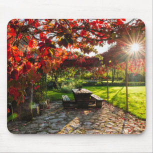 Sonne durch Herbstlaub, Kroatien Mousepad