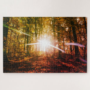 Sonne im Herbstwald